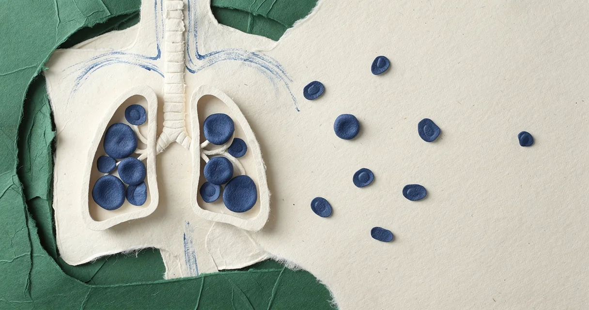 Cut-paper thymus lobules with small cobalt lymphocyte forms emerging into a cream field
